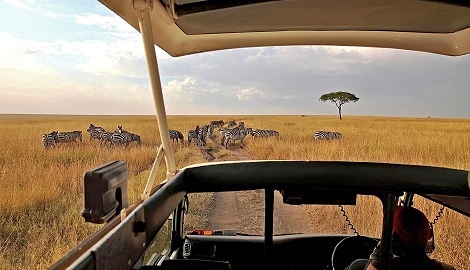 Gamedrive Masai Mara